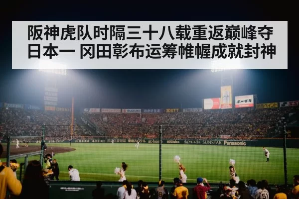 Japanese baseball stadium